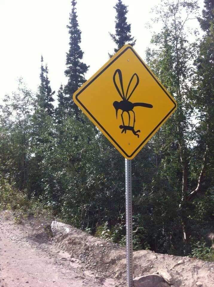 Mosquito Warning